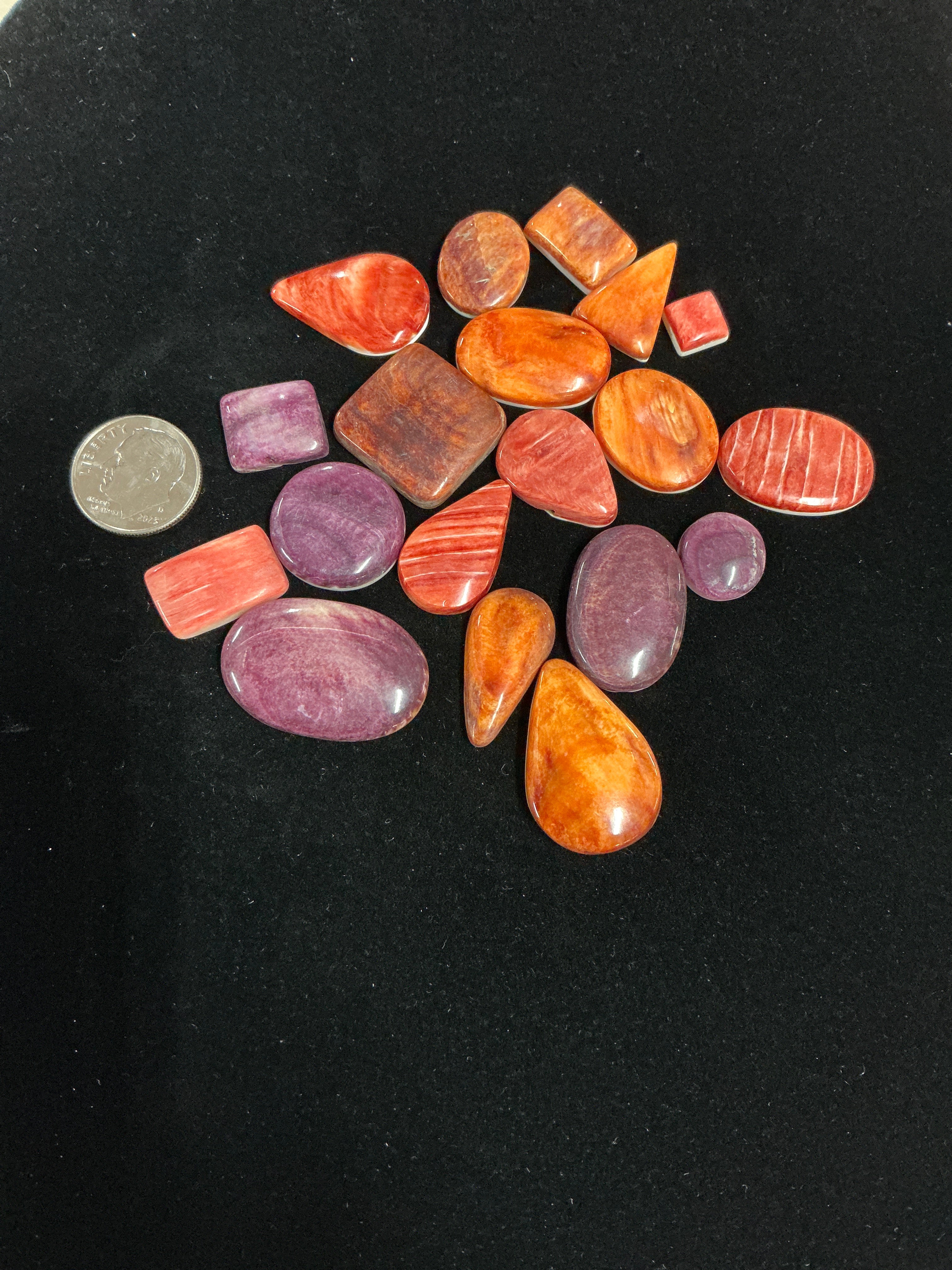200 CARATS SPINY CABOCHONS. Lot 2. $139.
