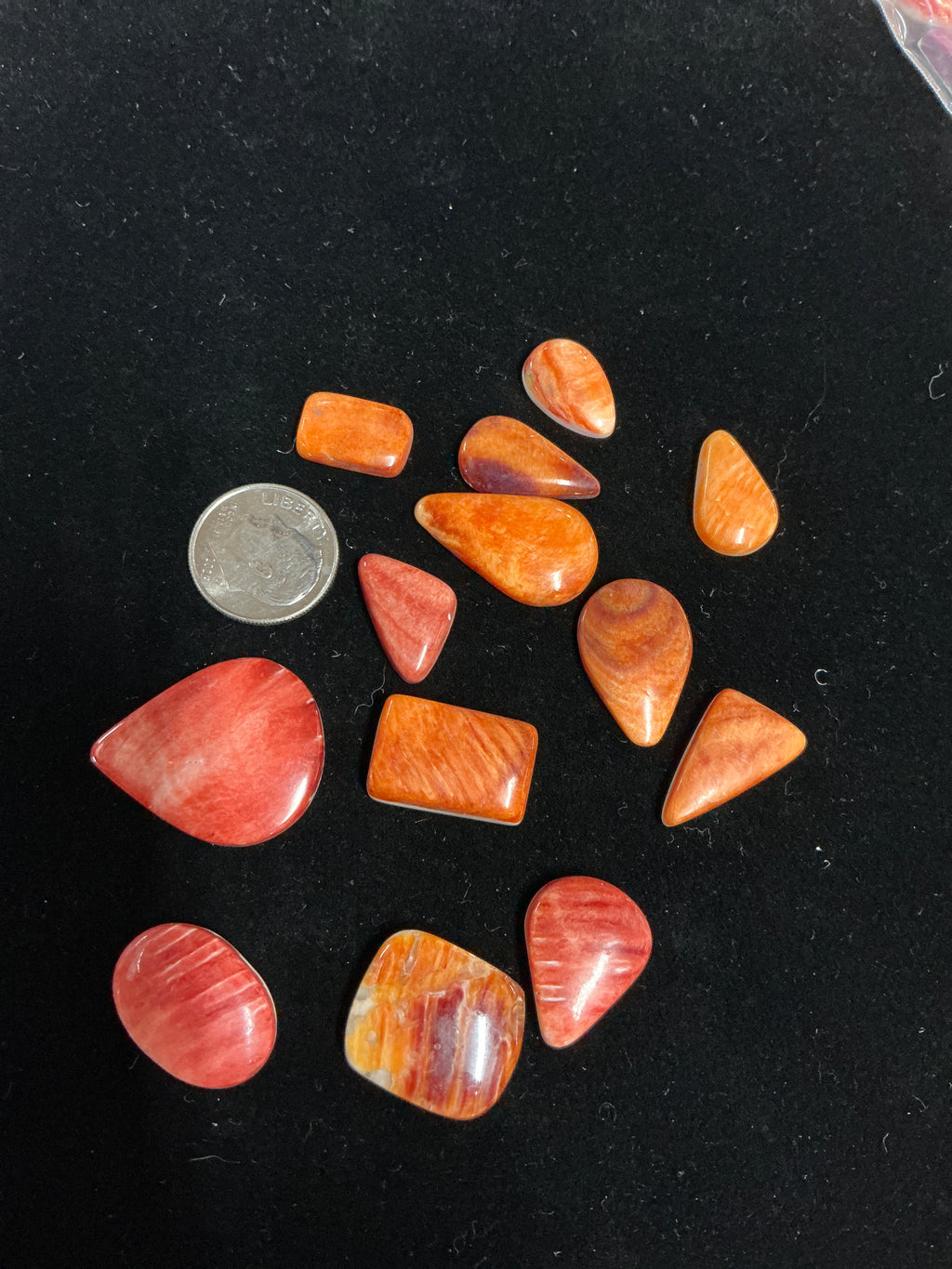 100 CARATS SPINY CABOCHONS LOT. LOT 2. $75.00