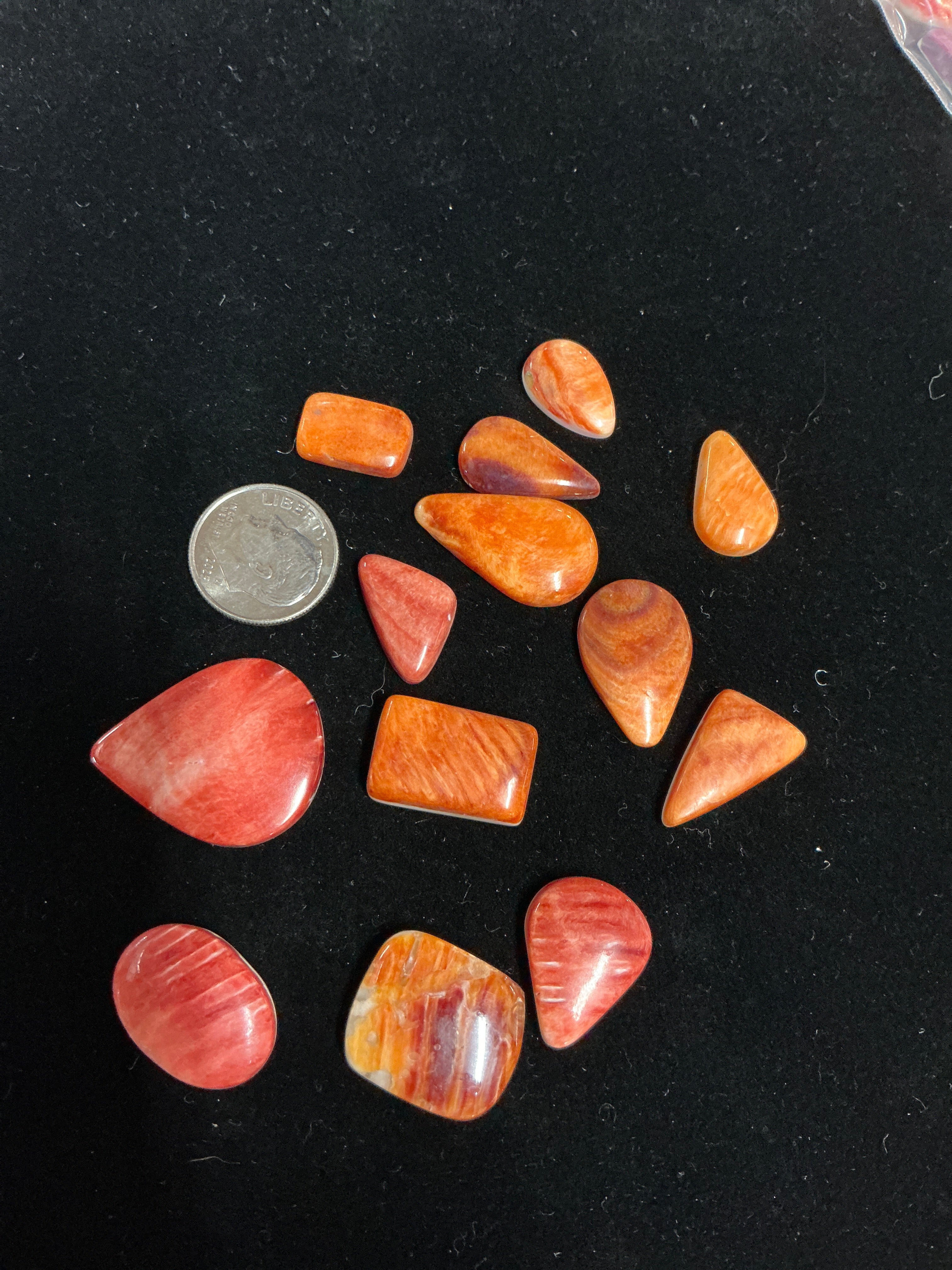 100 CARATS SPINY CABOCHONS LOT. LOT 2. $75.00