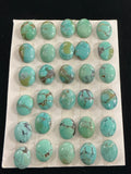 (7x9) Turquoise Cabochons Lot 1