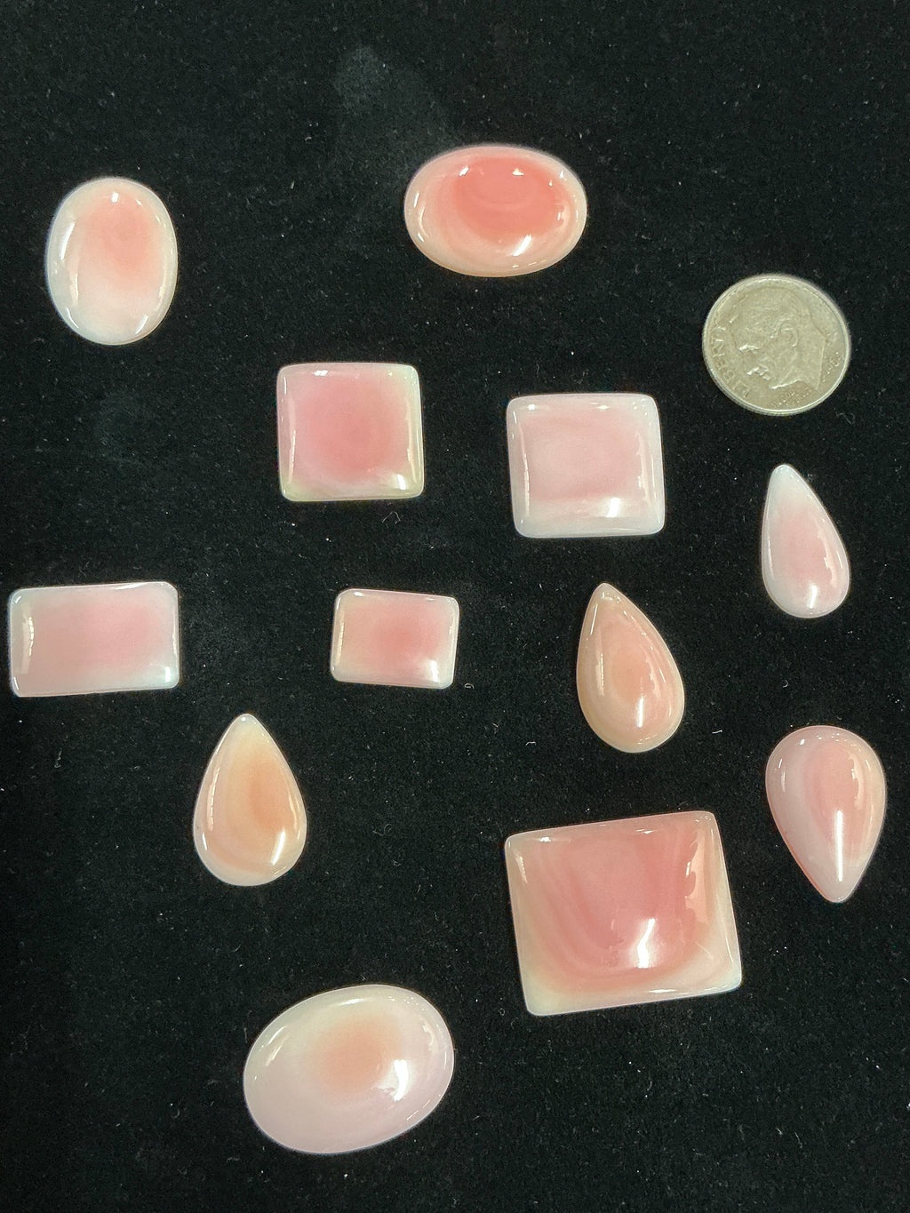 Pink Conch Cabochons ~100 Carats. Lot 2. $79
