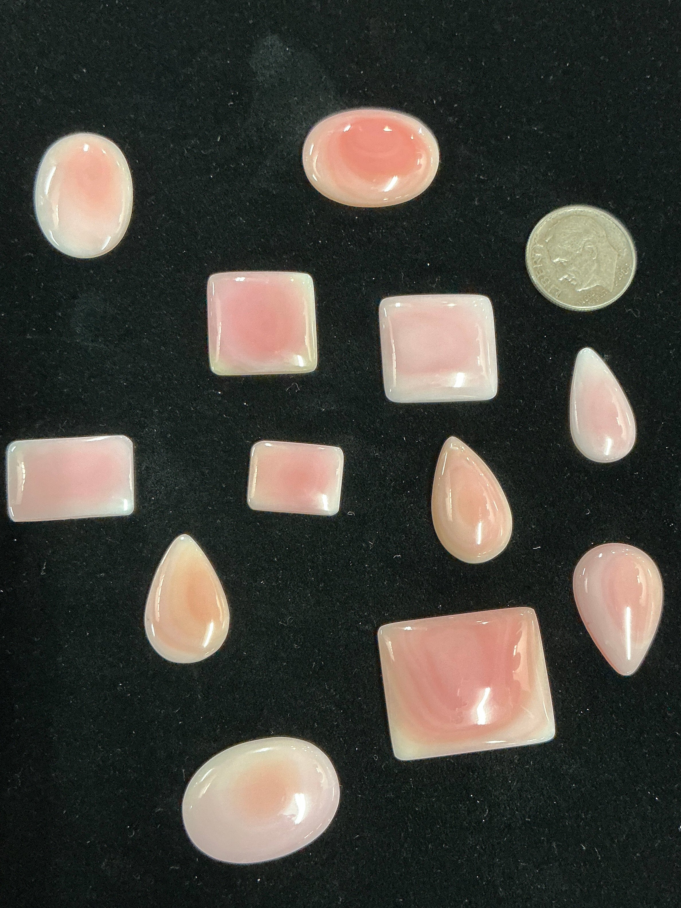 Pink Conch Cabochons ~100 Carats. Lot 2. $79
