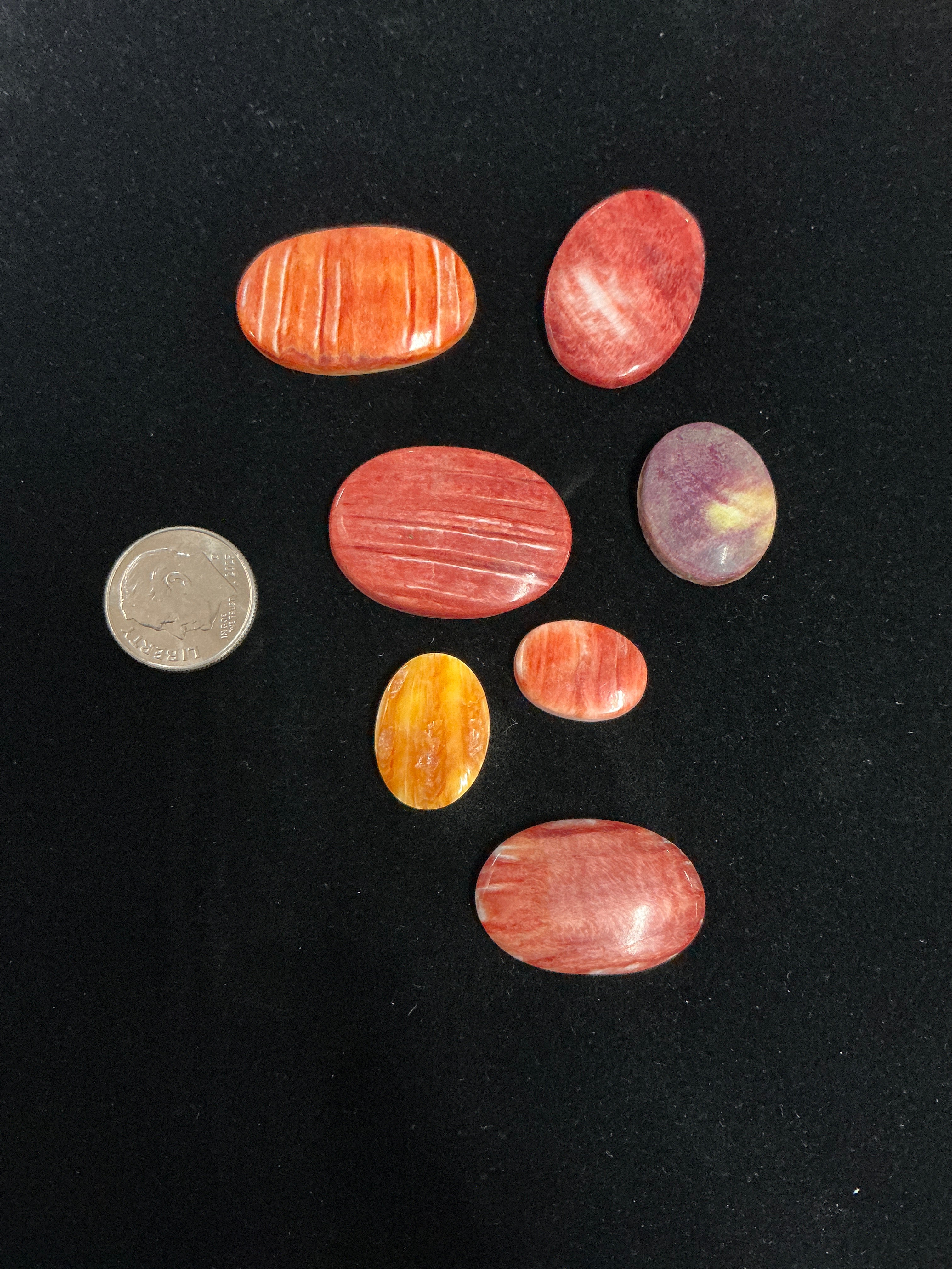 100 CARATS SPINY CABOCHONS LOT. LOT 7. $75.00