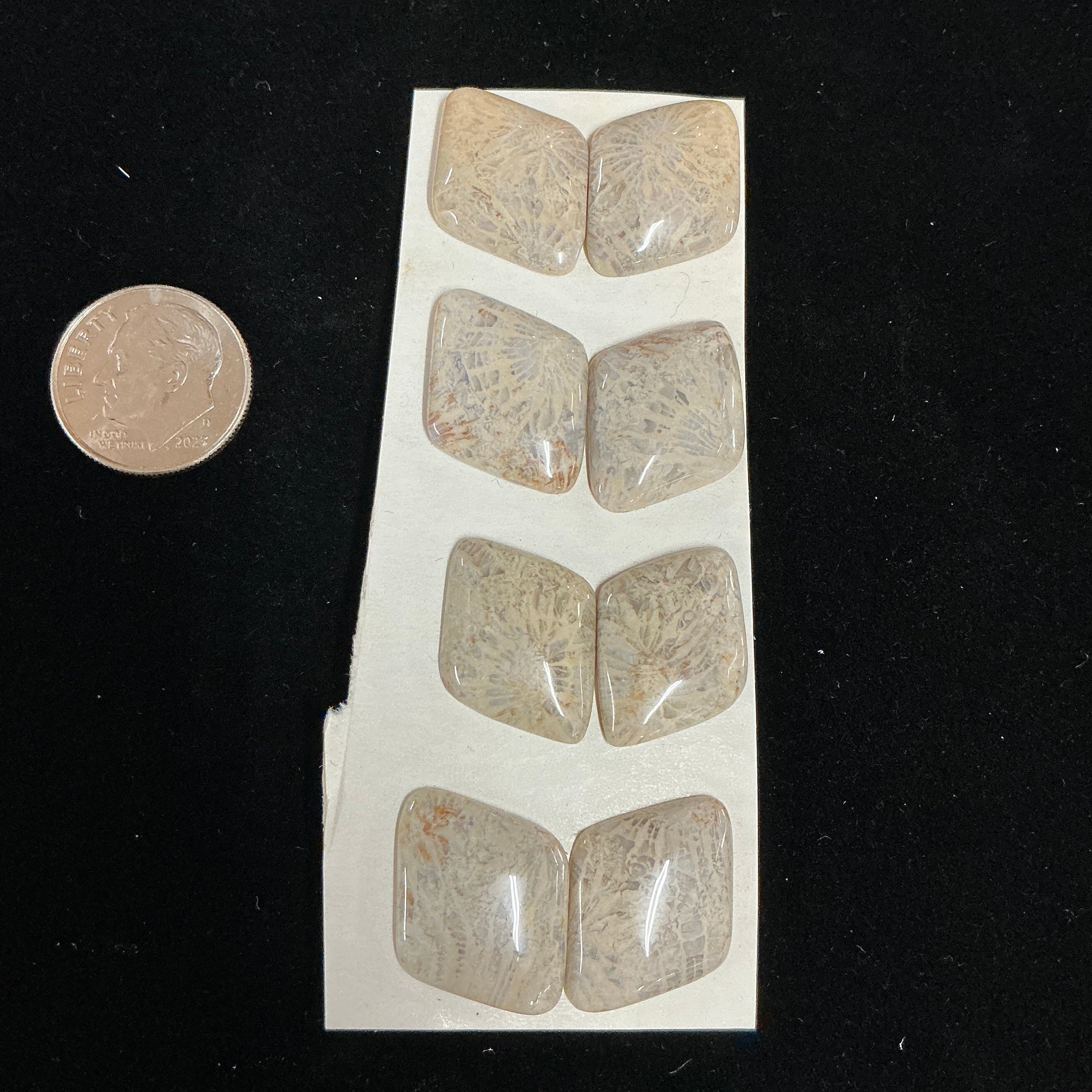 INDONESIA FOSSILIZED CORAL (8 STONES) LOT 4. $35.
