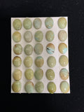 Dry Creek (7x10) Turquoise Cabochon Card. Lot 31