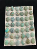 (7x9) Turquoise Cabochons Lot 2