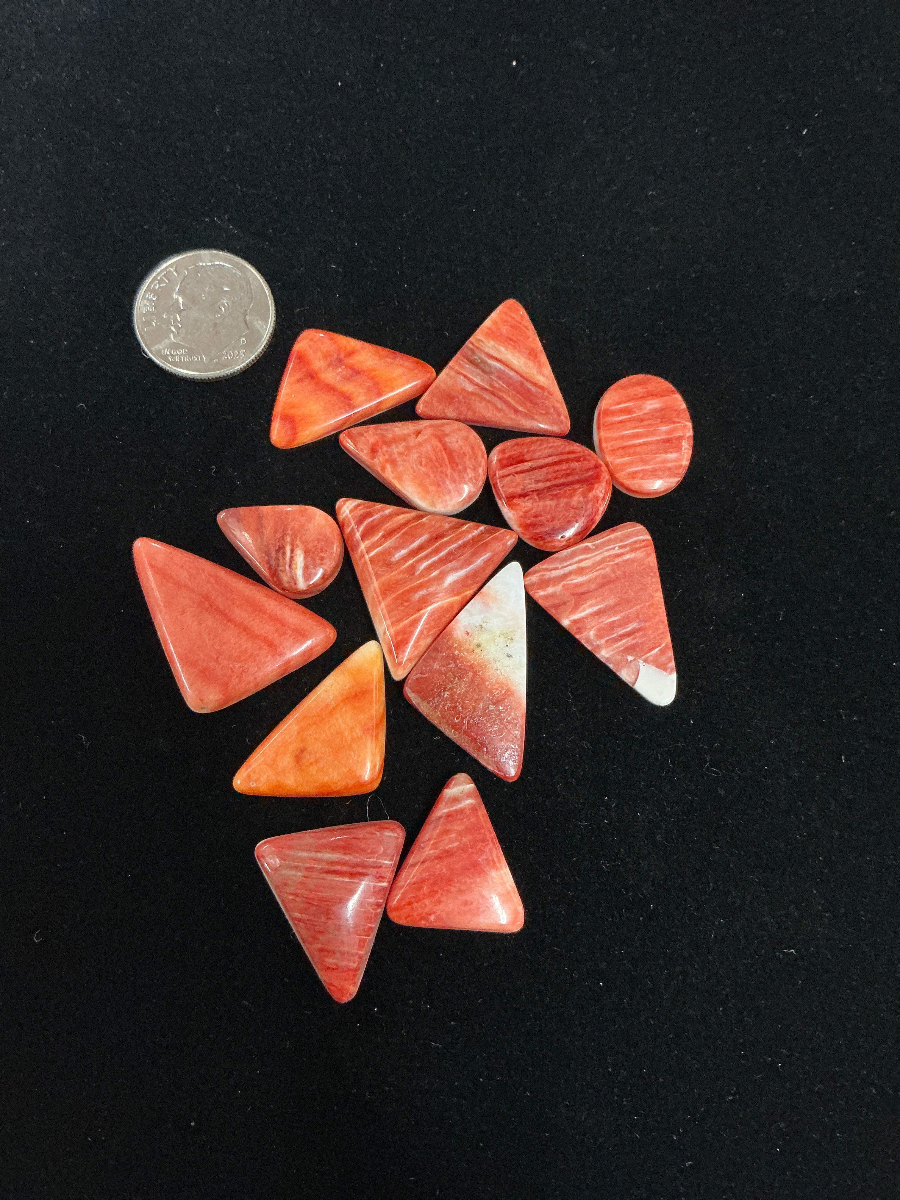 100 CARATS SPINY CABOCHONS LOT. LOT 11. $75.00