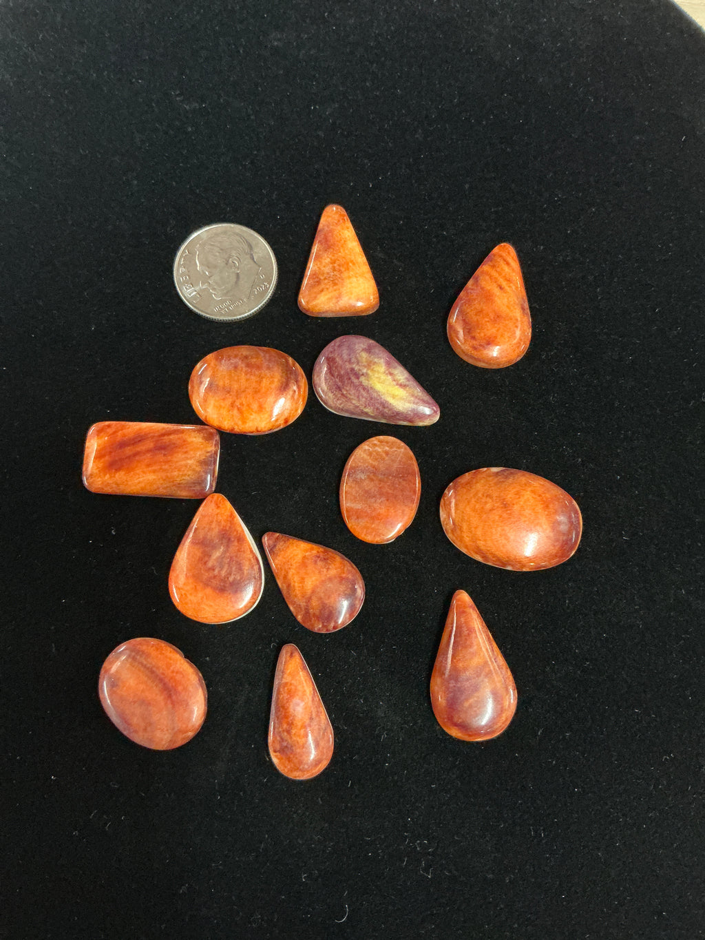 100 CARATS SPINY CABOCHONS LOT. LOT 9. $75.00