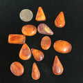 100 CARATS SPINY CABOCHONS LOT. LOT 9. $75.00
