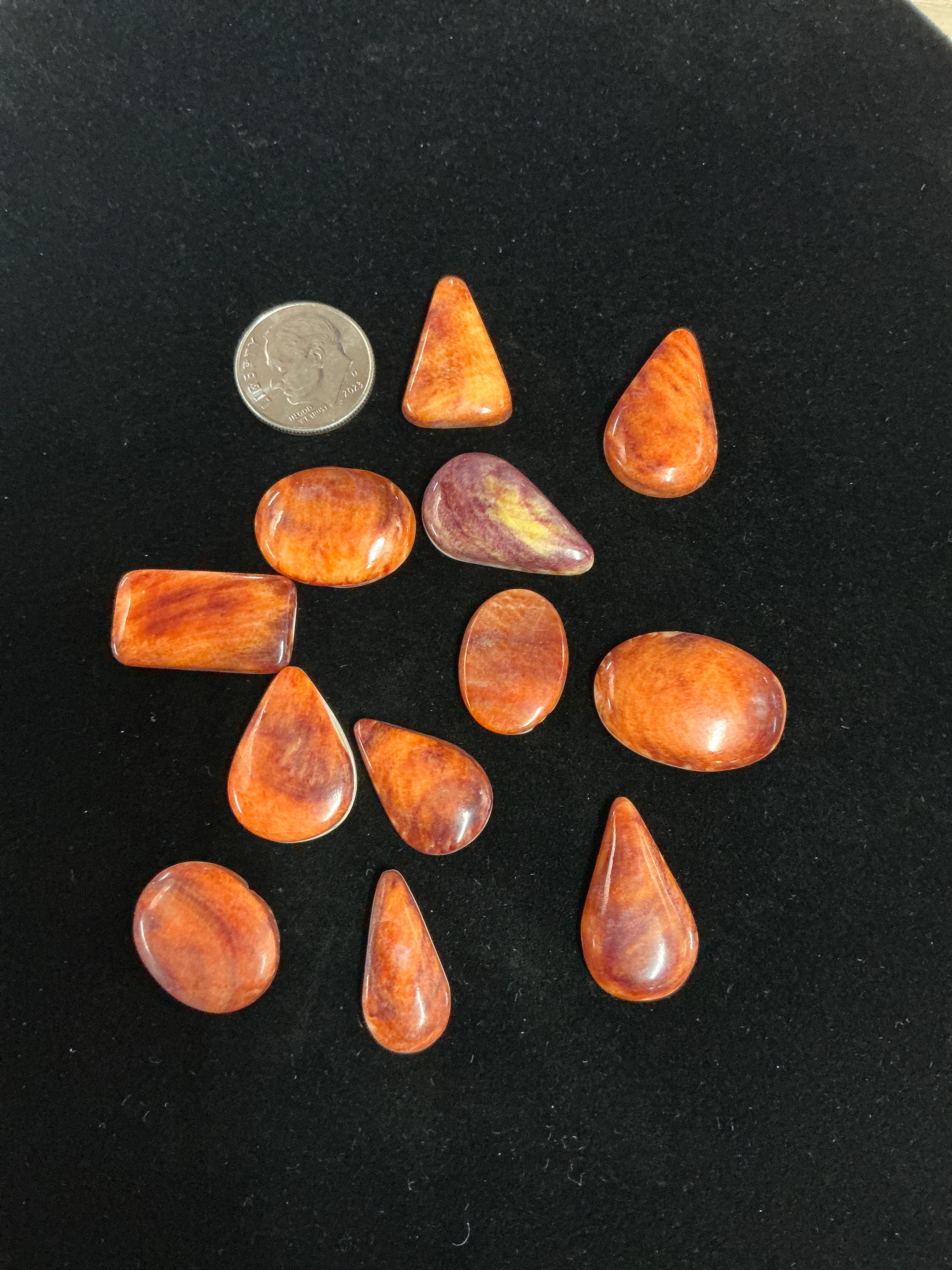 100 CARATS SPINY CABOCHONS LOT. LOT 9. $75.00