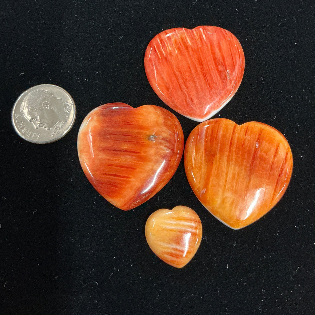 100 CTS SPINY OYSTER CABOCHONS HEARTS Lot 2
