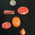 100 CARATS SPINY CABOCHONS LOT. LOT 8. $75.00