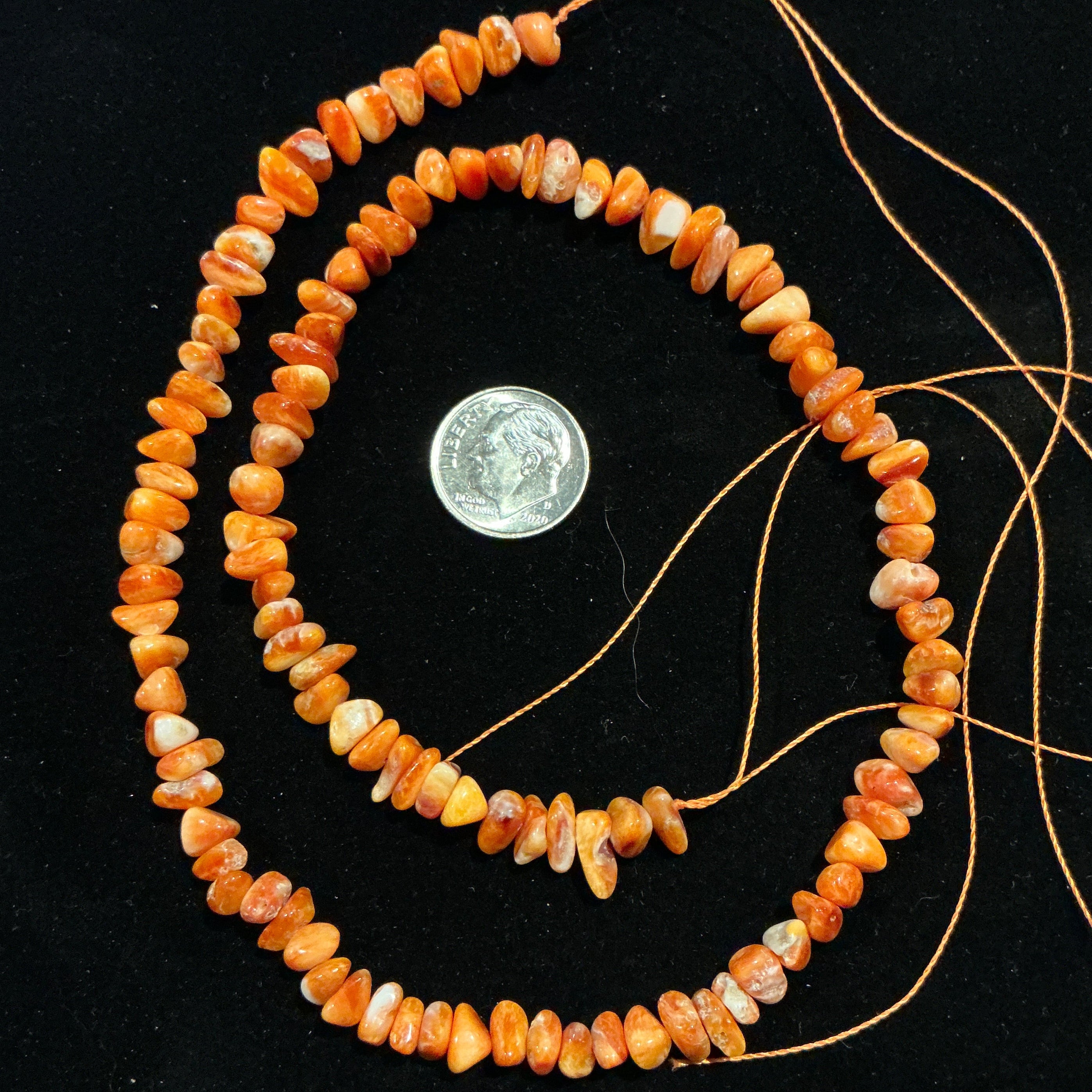 Orange Spiny Oyster Chip Bead Strand. 16 Inches. $15
