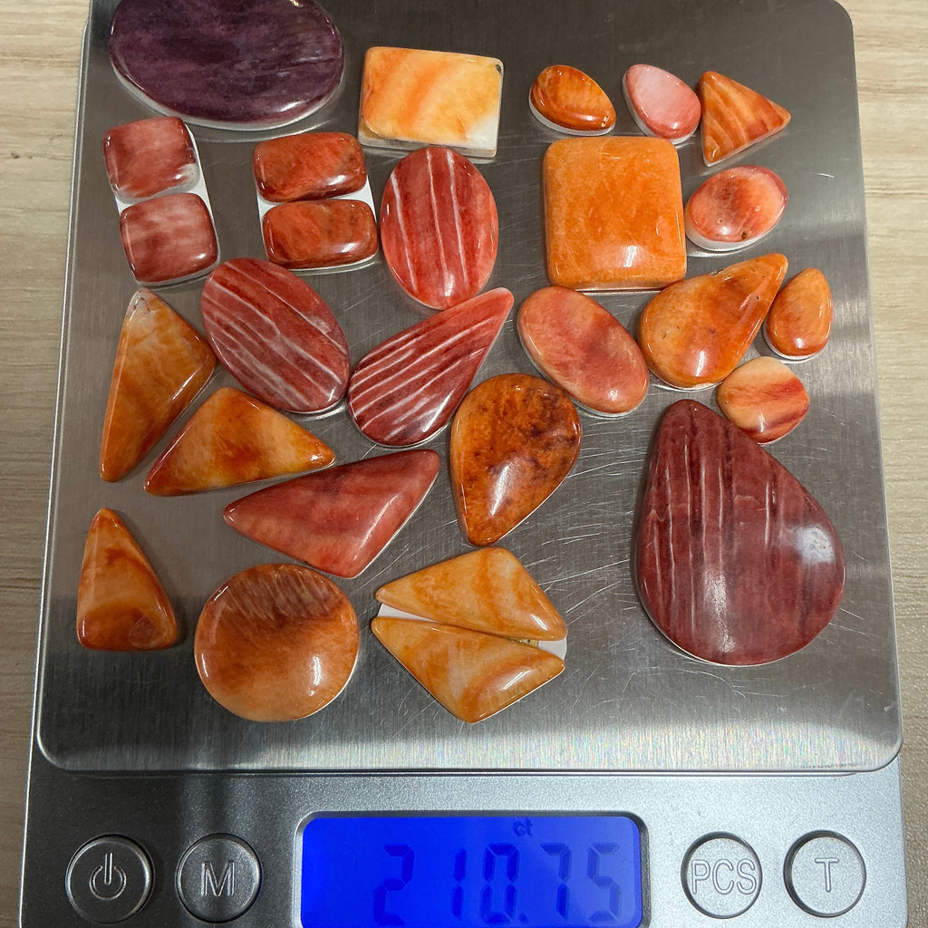 200 CARATS SPINY CABOCHONS. Lot 1. $139.