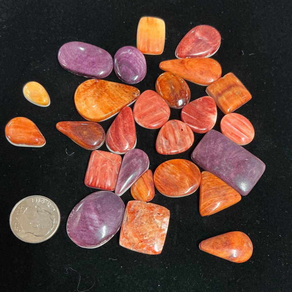200 CARATS SPINY CABOCHONS. Lot 6. $139.