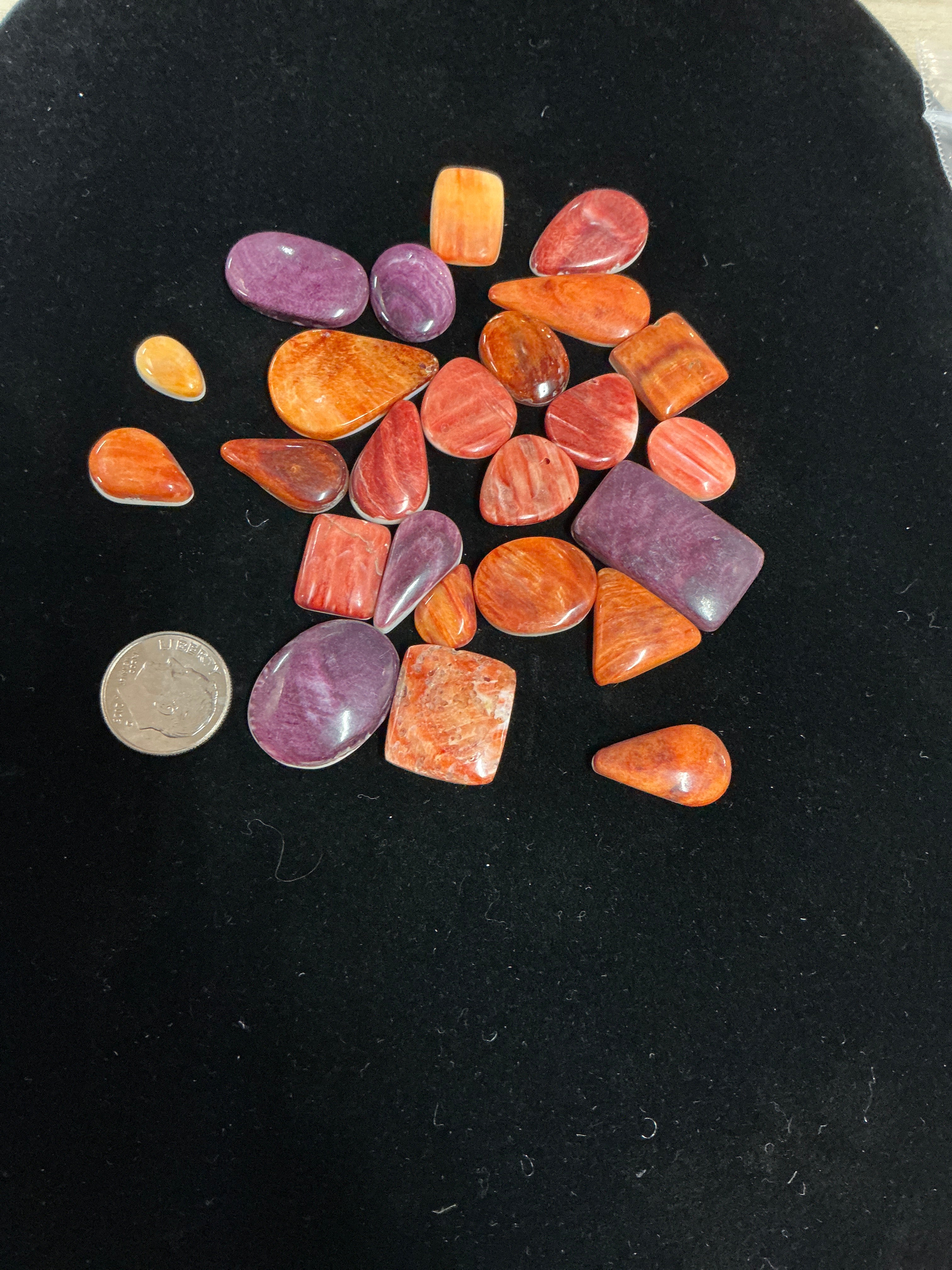 200 CARATS SPINY CABOCHONS. Lot 6. $139.