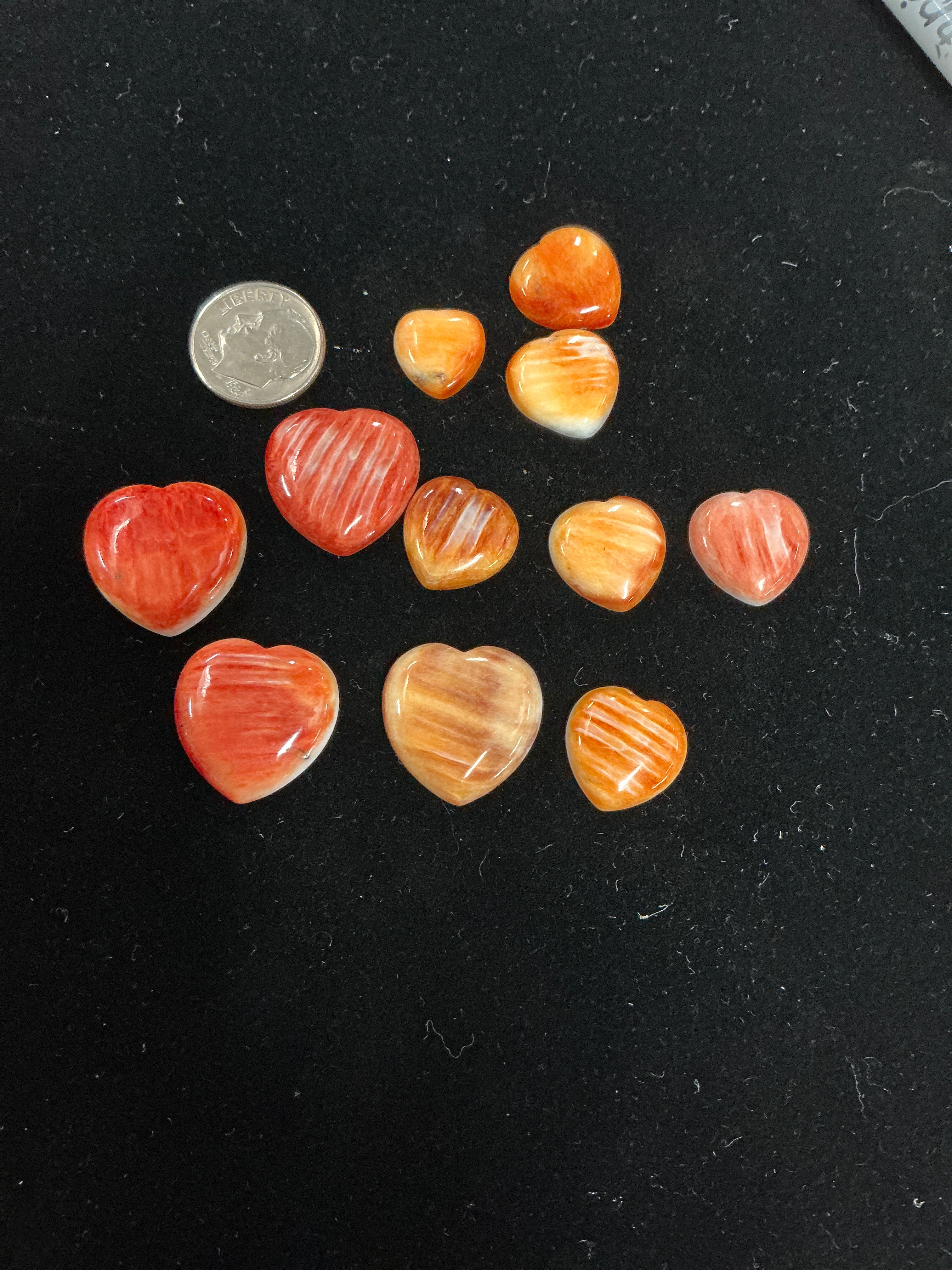 100 CTS SPINY OYSTER CABOCHONS HEARTS Lot 7