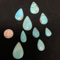 100 CTS Pear Shaped Turquoise Cabochons. Lot 5