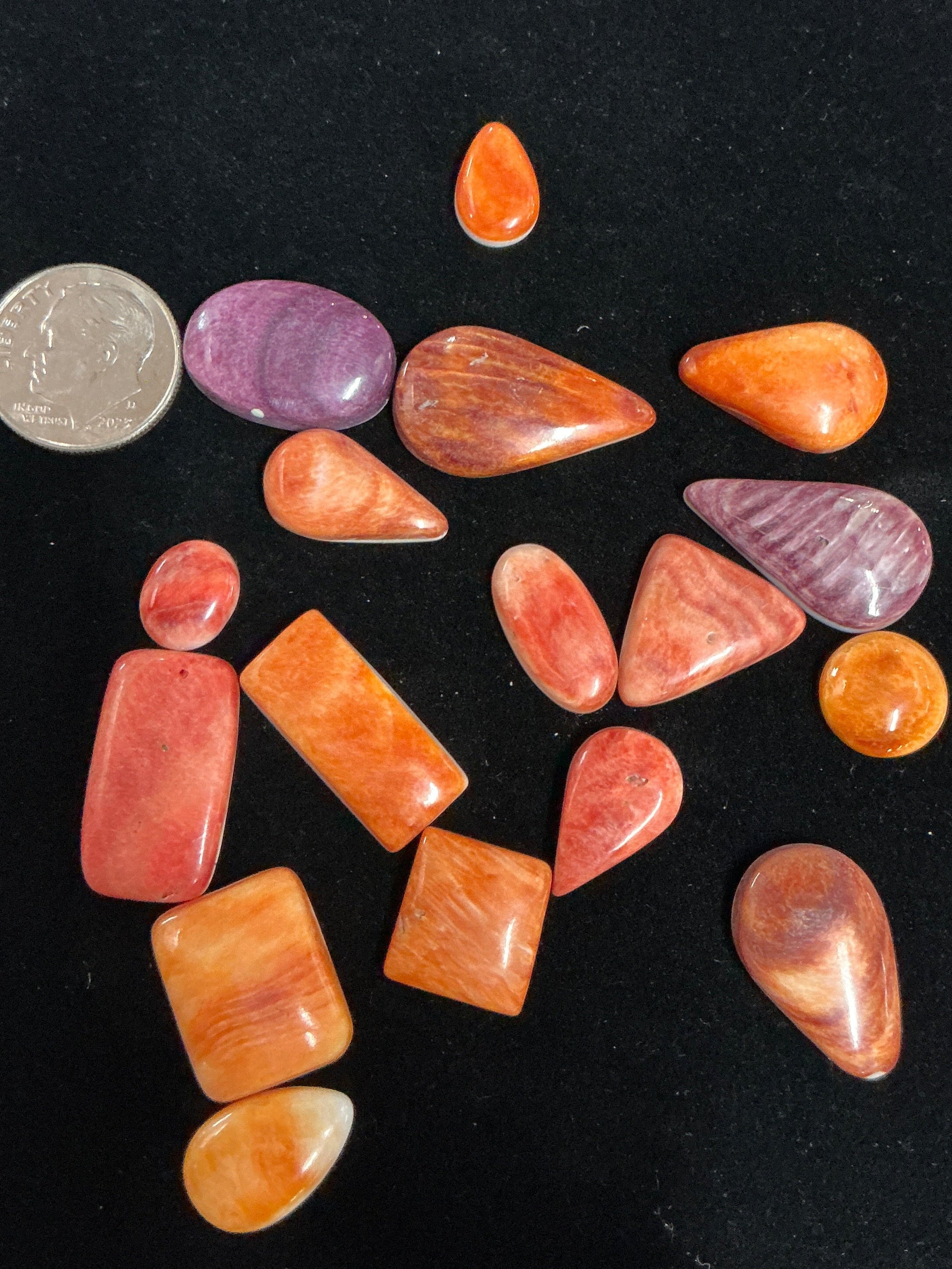 100 CARATS SPINY CABOCHONS LOT. LOT 6. $75.00
