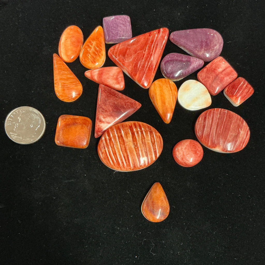 200 CARATS SPINY CABOCHONS. Lot 5. $139.