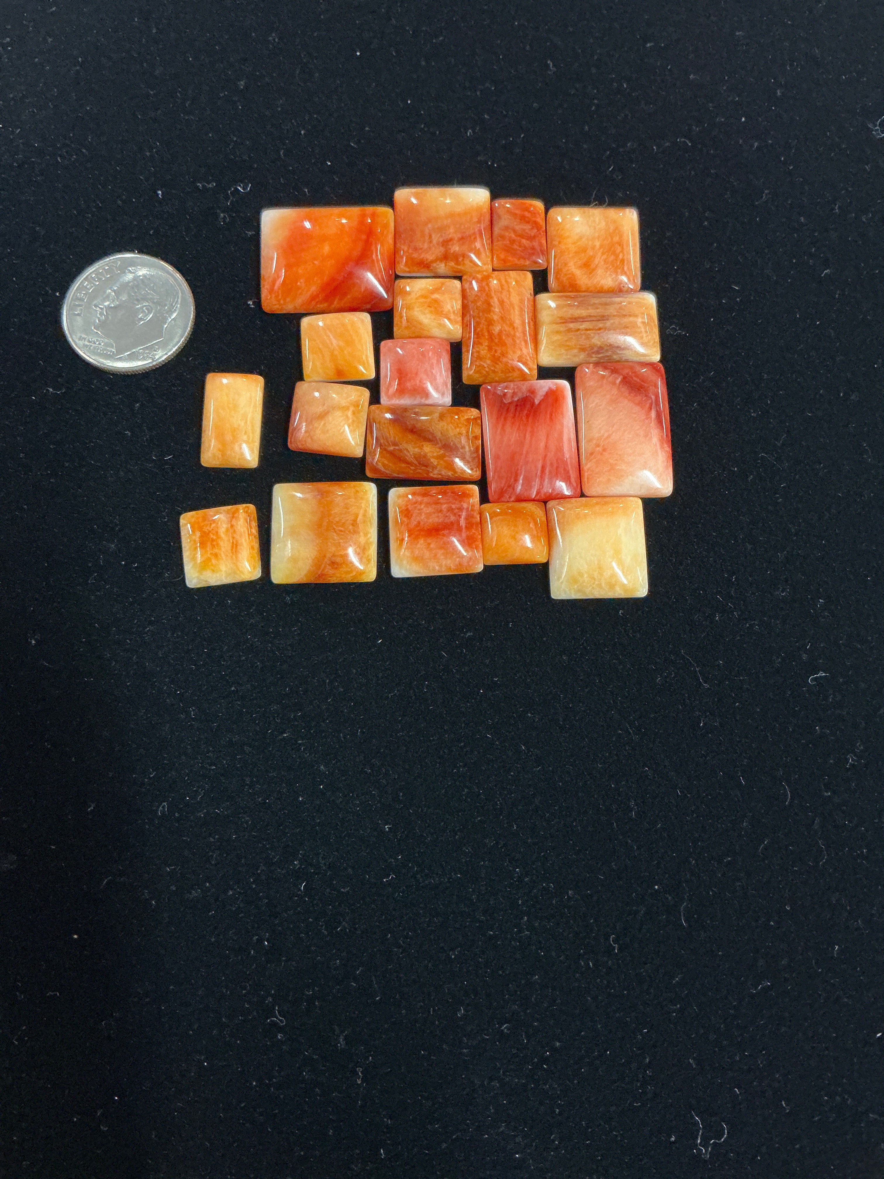 100 CTS SPINY OYSTER CABOCHONS Lot 5